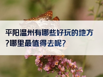 平阳温州有哪些好玩的地方？哪里最值得去呢？