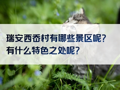 瑞安西岙村有哪些景区呢？有什么特色之处呢？
