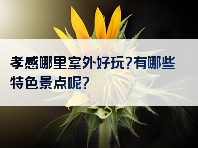 孝感哪里室外好玩？有哪些特色景点呢？