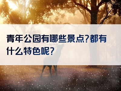 青年公园有哪些景点？都有什么特色呢？
