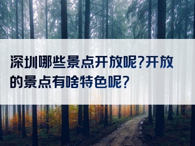 深圳哪些景点开放呢？开放的景点有啥特色呢？