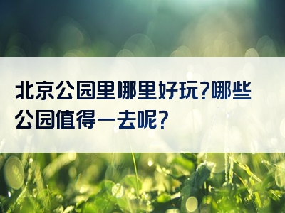 北京公园里哪里好玩？哪些公园值得一去呢？