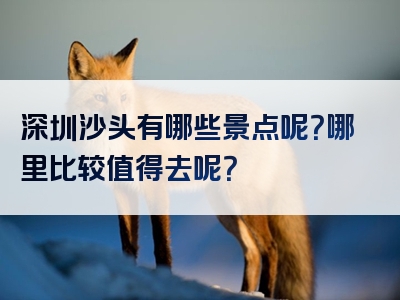 深圳沙头有哪些景点呢？哪里比较值得去呢？