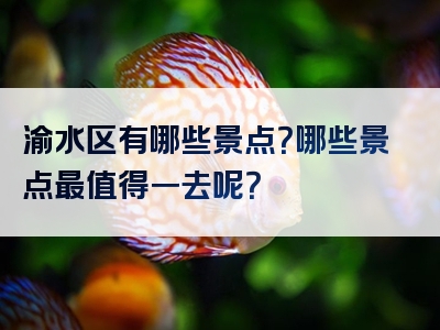 渝水区有哪些景点？哪些景点最值得一去呢？