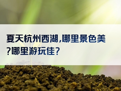 夏天杭州西湖，哪里景色美？哪里游玩佳？