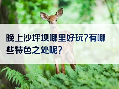 晚上沙坪坝哪里好玩？有哪些特色之处呢？