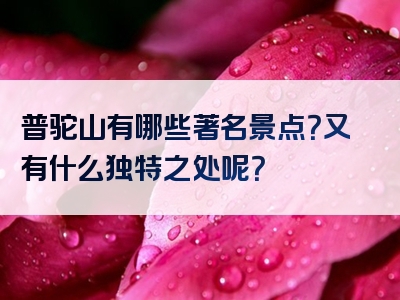 普驼山有哪些著名景点？又有什么独特之处呢？