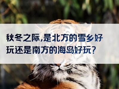 秋冬之际，是北方的雪乡好玩还是南方的海岛好玩？