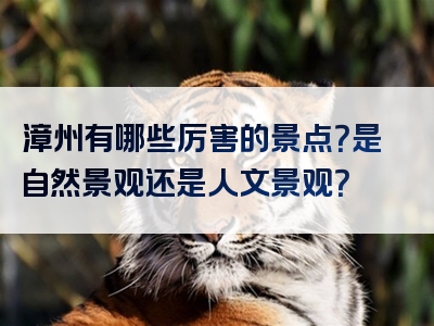 漳州有哪些厉害的景点？是自然景观还是人文景观？