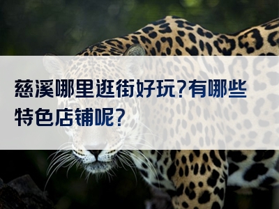 慈溪哪里逛街好玩？有哪些特色店铺呢？