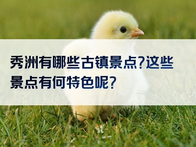 秀洲有哪些古镇景点？这些景点有何特色呢？