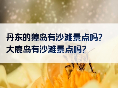 丹东的獐岛有沙滩景点吗？大鹿岛有沙滩景点吗？