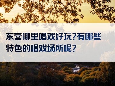 东营哪里唱戏好玩？有哪些特色的唱戏场所呢？
