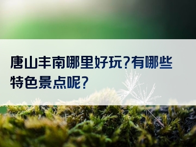 唐山丰南哪里好玩？有哪些特色景点呢？