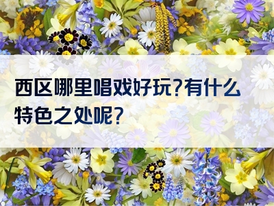 西区哪里唱戏好玩？有什么特色之处呢？