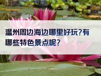 温州周边海边哪里好玩？有哪些特色景点呢？