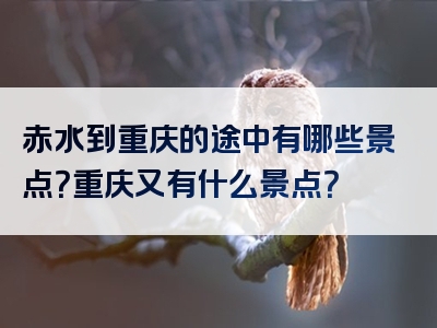 赤水到重庆的途中有哪些景点？重庆又有什么景点？
