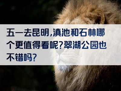 五一去昆明，滇池和石林哪个更值得看呢？翠湖公园也不错吗？