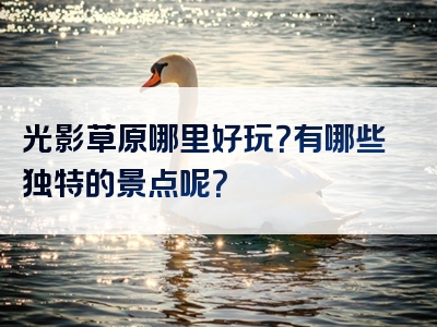 光影草原哪里好玩？有哪些独特的景点呢？