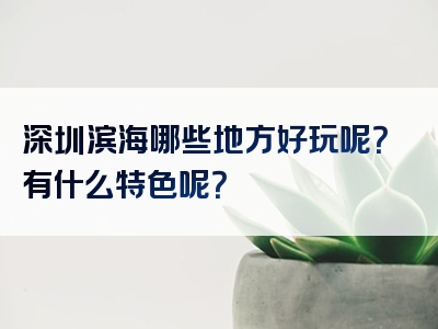 深圳滨海哪些地方好玩呢？有什么特色呢？