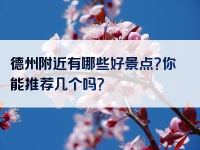 德州附近有哪些好景点？你能推荐几个吗？