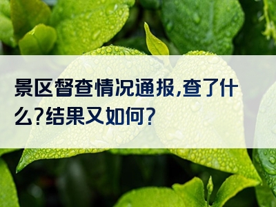 景区督查情况通报，查了什么？结果又如何？
