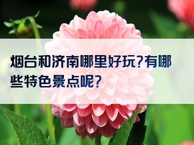 烟台和济南哪里好玩？有哪些特色景点呢？