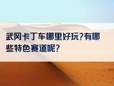 武冈卡丁车哪里好玩？有哪些特色赛道呢？