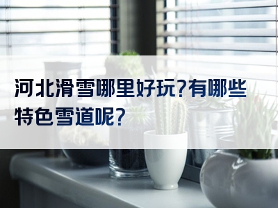 河北滑雪哪里好玩？有哪些特色雪道呢？