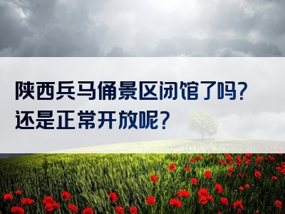 陕西兵马俑景区闭馆了吗？还是正常开放呢？