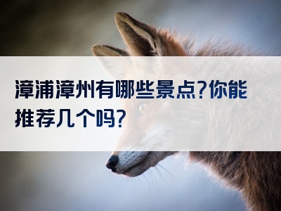漳浦漳州有哪些景点？你能推荐几个吗？