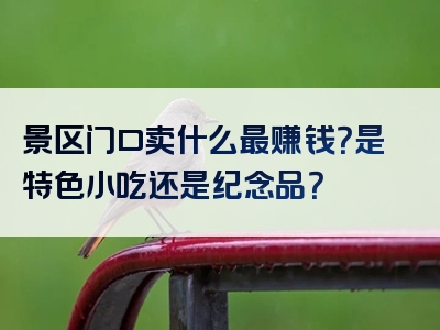 景区门口卖什么最赚钱？是特色小吃还是纪念品？