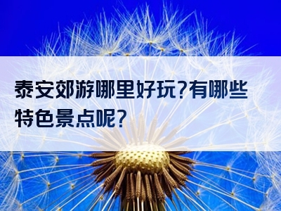 泰安郊游哪里好玩？有哪些特色景点呢？
