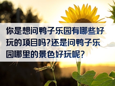你是想问鸭子乐园有哪些好玩的项目吗？还是问鸭子乐园哪里的景色好玩呢？