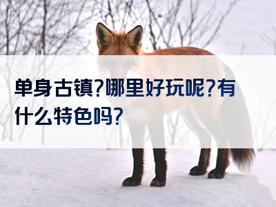 单身古镇？哪里好玩呢？有什么特色吗？