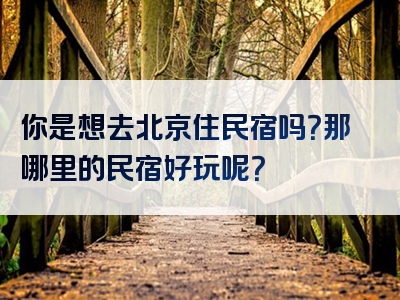 你是想去北京住民宿吗？那哪里的民宿好玩呢？