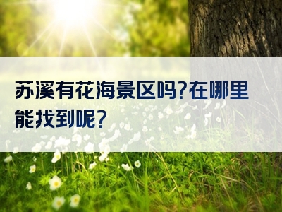 苏溪有花海景区吗？在哪里能找到呢？