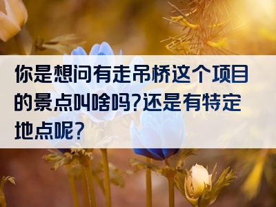 你是想问有走吊桥这个项目的景点叫啥吗？还是有特定地点呢？