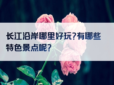 长江沿岸哪里好玩？有哪些特色景点呢？