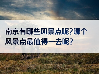 南京有哪些风景点呢？哪个风景点最值得一去呢？