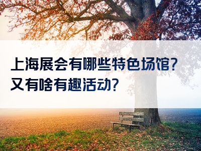 上海展会有哪些特色场馆？又有啥有趣活动？