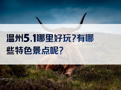 温州5.1哪里好玩？有哪些特色景点呢？