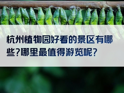 杭州植物园好看的景区有哪些？哪里最值得游览呢？