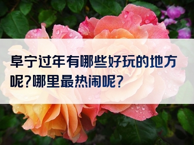 阜宁过年有哪些好玩的地方呢？哪里最热闹呢？