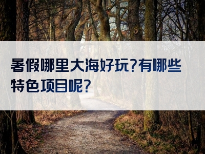 暑假哪里大海好玩？有哪些特色项目呢？