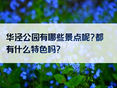 华泾公园有哪些景点呢？都有什么特色吗？