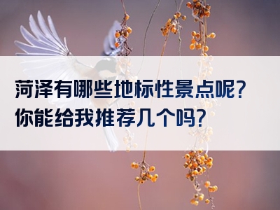菏泽有哪些地标性景点呢？你能给我推荐几个吗？