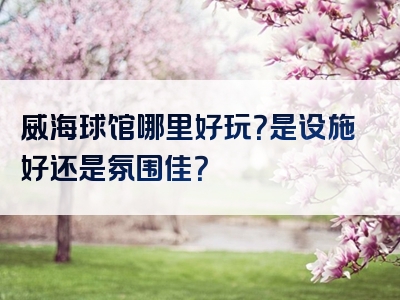 威海球馆哪里好玩？是设施好还是氛围佳？