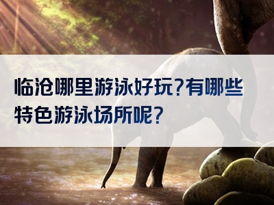 临沧哪里游泳好玩？有哪些特色游泳场所呢？