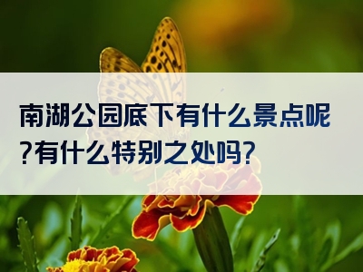 南湖公园底下有什么景点呢？有什么特别之处吗？